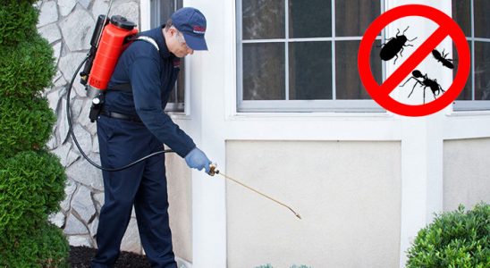 Derepazarı Dezenfeksiyon böcek ilaçlama ve haşere kontrolü — ilaclama-tr.com